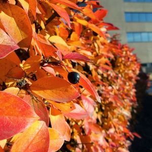 Meet your Posher, Jeffrey